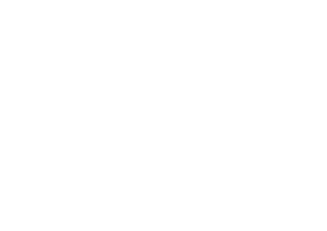 Aurelia | Aiqona